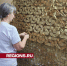 Волонтеры из Ногинска отправили бойцам СВО более 500 маскировочных сетей - Regions.Ru