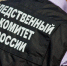 СК займется делом о массовой драке нелегалов в Ногинске - Regions.Ru