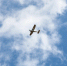 В Богородском округе пройдут испытания уникальных беспилотников МЧС России - Regions.Ru