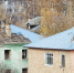 Демонтаж двух аварийных домов начался в Старой Купавне на улице Чапаева - Regions.Ru