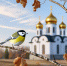 Чего ждут от Зиновьева дня христиане, рассказал религиовед - Regions.Ru