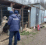 Пожарные в роли добрых волшебников: как спасатели поддержали приют для животных в Ямкино - Regions.Ru