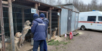 Пожарные в роли добрых волшебников: как спасатели поддержали приют для животных в Ямкино - Regions.Ru
